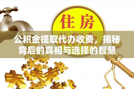 龙南公积金提取代办收费，揭秘背后的真相与选择的智慧