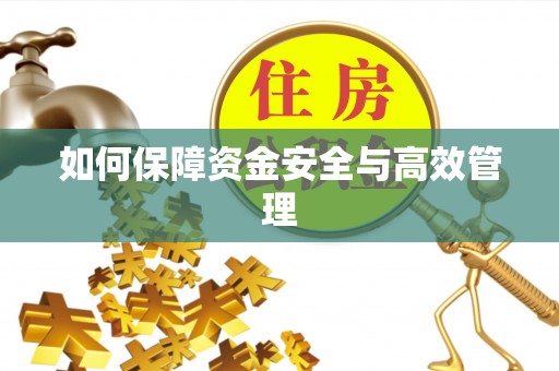 龙南如何保障资金安全与高效管理