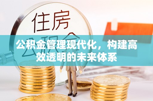 龙南公积金管理现代化，构建高效透明的未来体系
