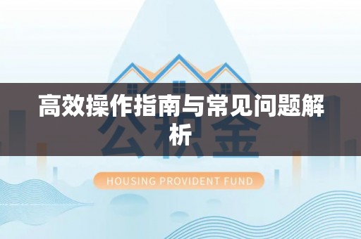 龙南高效操作指南与常见问题解析