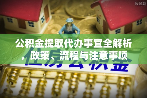 龙南公积金提取代办事宜全解析，政策、流程与注意事项