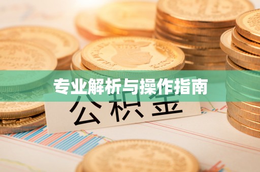 龙南专业解析与操作指南