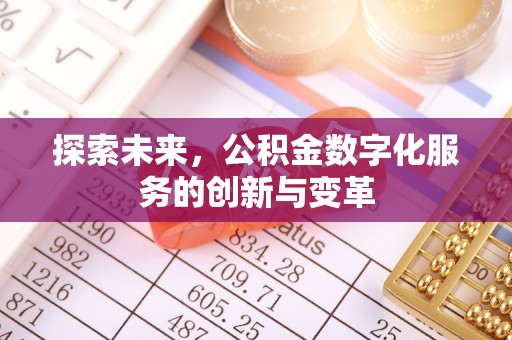 龙南探索未来，公积金数字化服务的创新与变革